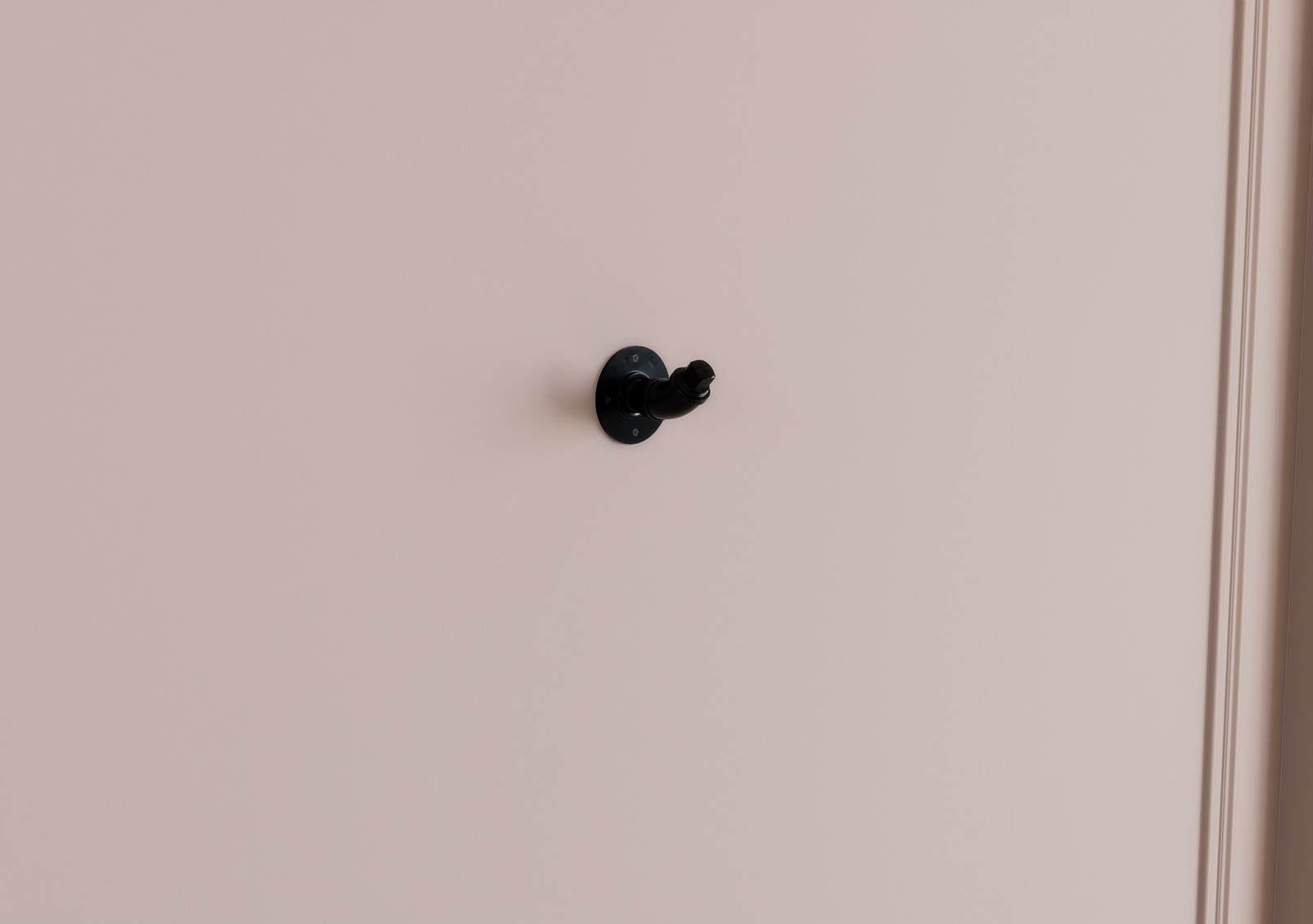 Compact Industrial Single Hook (D59)